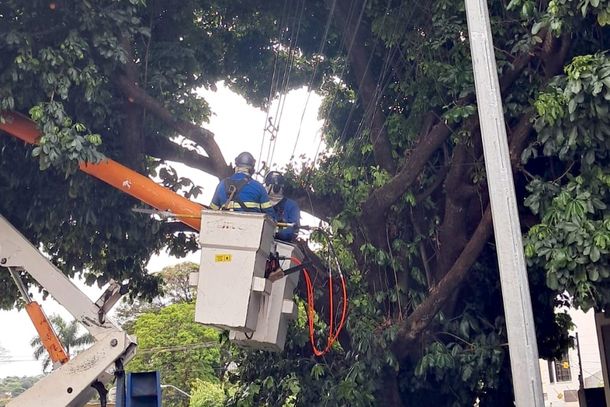 Manejo adequado reduz os riscos de interrup&ccedil;&otilde;es provocadas pelo contato da vegeta&ccedil;&atilde;o com a rede el&eacute;trica, especialmente diante de eventos clim&aacute;ticos mais severos