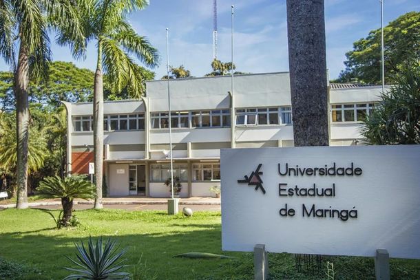 Programas s&atilde;o realizados no Hospital Universit&aacute;rio de Maring&aacute;, mas aceitam formandos da regi&atilde;o
