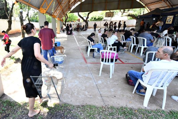  Com os 245 procedimentos realizados agora, o munic&iacute;pio chega ao total de 1.437 esteriliza&ccedil;&otilde;es por meio do CastraPet