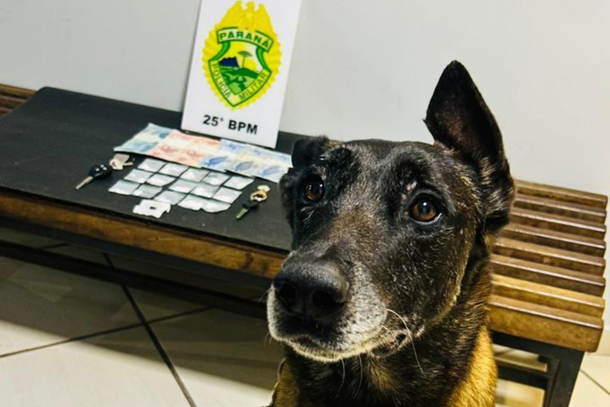 Os dois suspeitos, juntamente com as drogas e os demais objetos apreendidos, foram encaminhados &agrave; Delegacia de Pol&iacute;cia Civil de Umuarama
