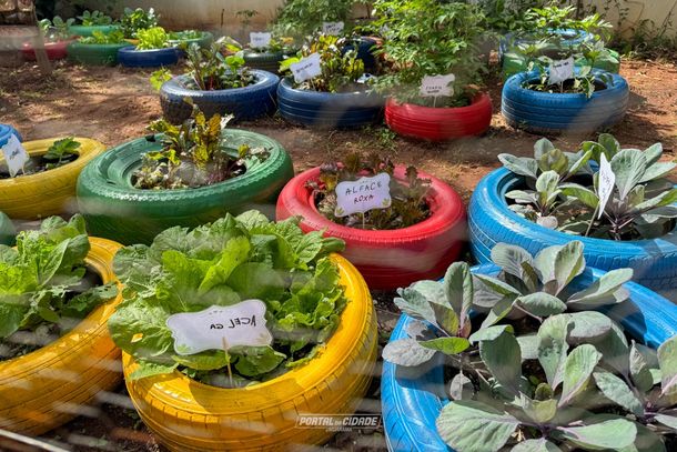 Entre as a&ccedil;&otilde;es do projeto, a escola criou uma horta, onde as crian&ccedil;as participaram do plantio e do cuidado com as plantas.