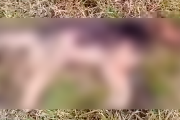 C&atilde;ozinho Lobo foi encontrado morto em terreno de propriedade da fam&iacute;lia