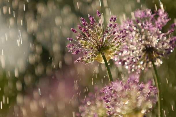 Primavera come&ccedil;a em SC com previs&atilde;o de mais chuva e aten&ccedil;&atilde;o redobrada aos temporais