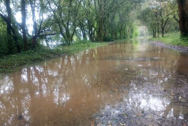 Rio Igua&ccedil;u baixa em Uni&atilde;o da Vit&oacute;ria e chega a 6,35 metros nesta quinta-feira