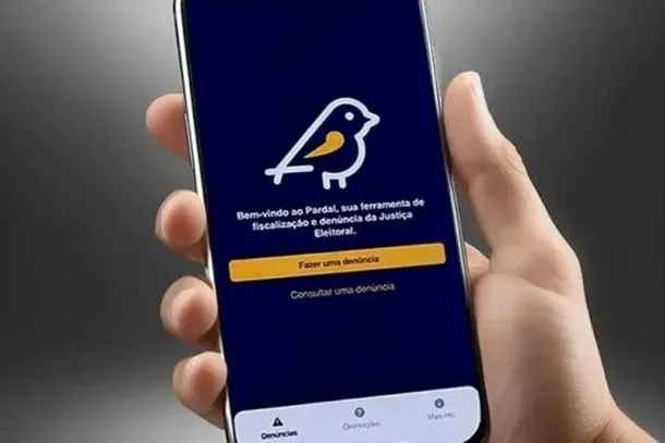 Den&uacute;ncias de propaganda irregular crescem 73% em rela&ccedil;&atilde;o a 2022