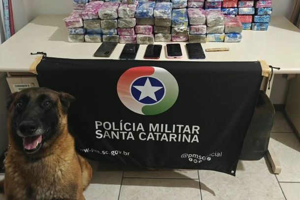 Mais de 104 kg de maconha s&atilde;o apreendidos em opera&ccedil;&atilde;o conjunta em Porto Uni&atilde;o