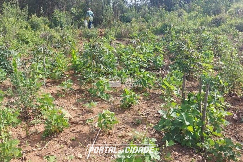 Terreno &agrave; venda - 55902m&sup2; - Zona Rural