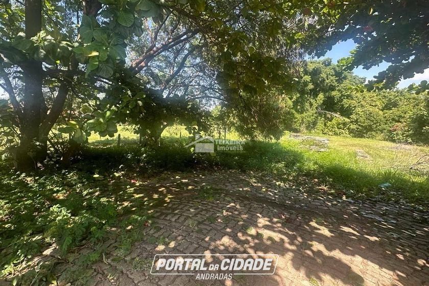 Terreno &agrave; venda - 24000m&sup2; - Jardim Rio Branco
