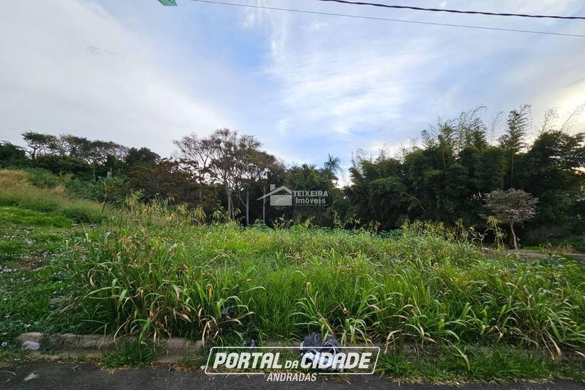 Terreno &agrave; venda - 204m&sup2; - Vila Santa Cec&iacute;lia