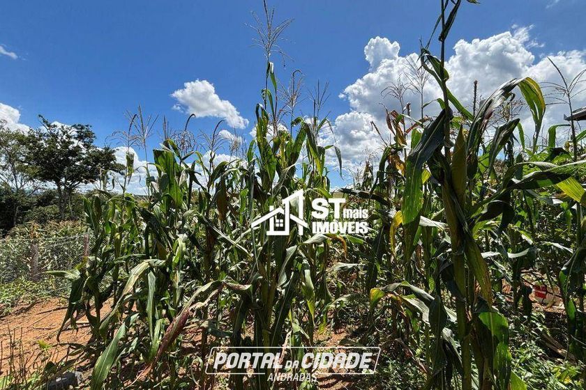 Terreno &agrave; venda - 20000m&sup2; - Zona Rural
