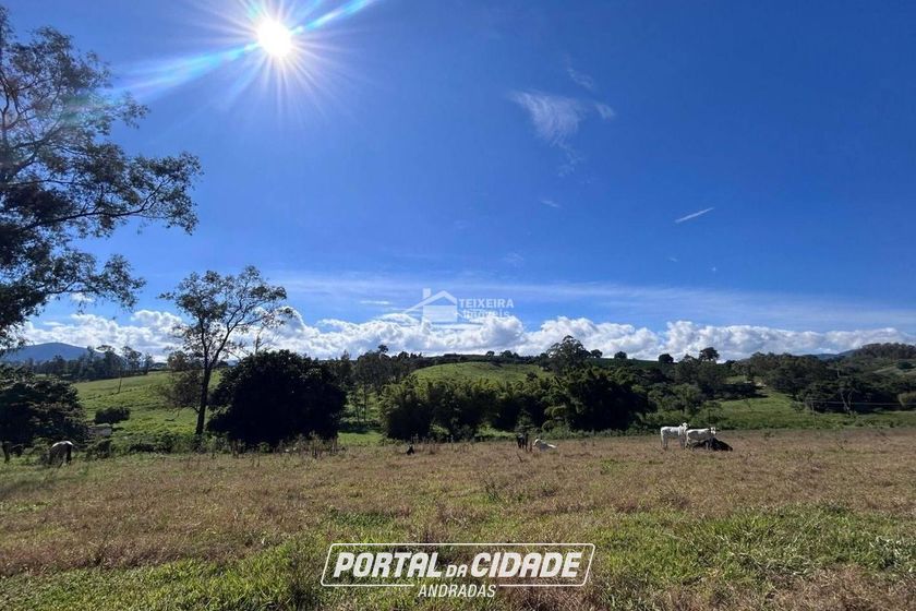 Terreno &agrave; venda - 20000m&sup2; - Zona Rural