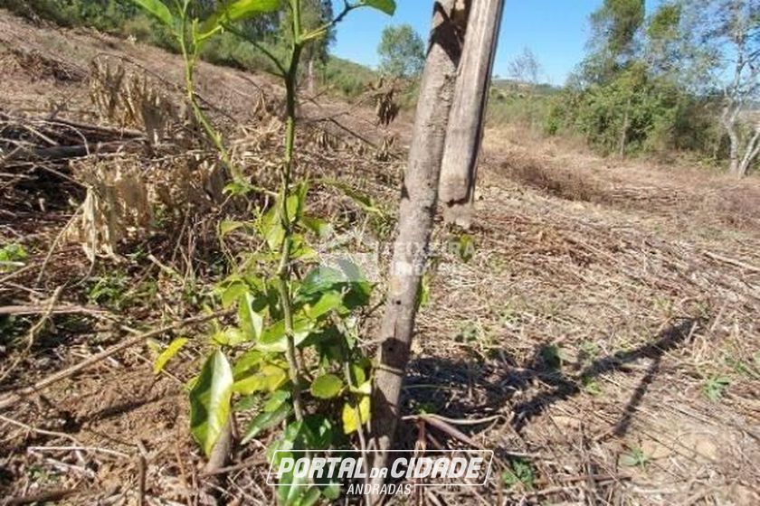 Terreno &agrave; venda - 55902m&sup2; - Zona Rural