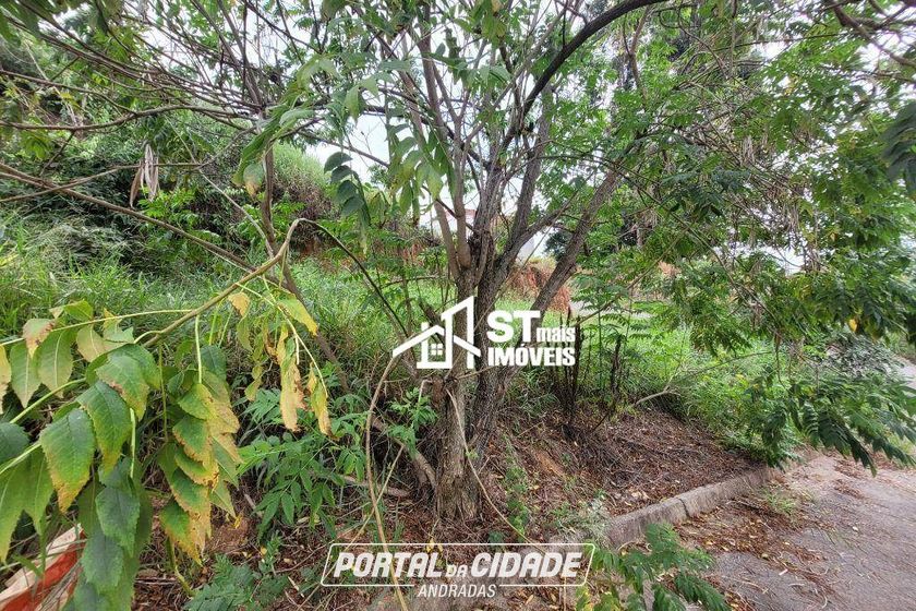 Terreno &agrave; venda - 300m&sup2; - Canto dos P&aacute;ssaros