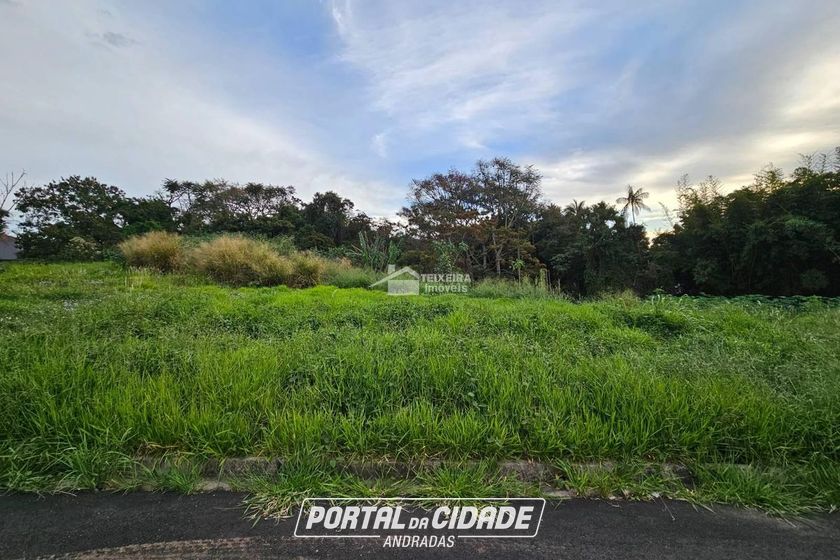 Terreno &agrave; venda - 204m&sup2; - Vila Santa Cec&iacute;lia
