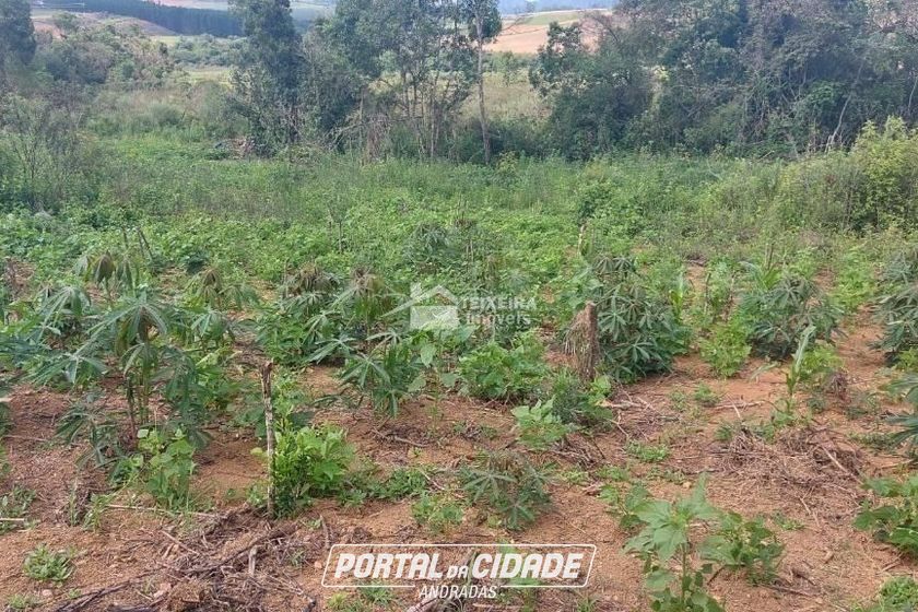 Terreno &agrave; venda - 55902m&sup2; - Zona Rural