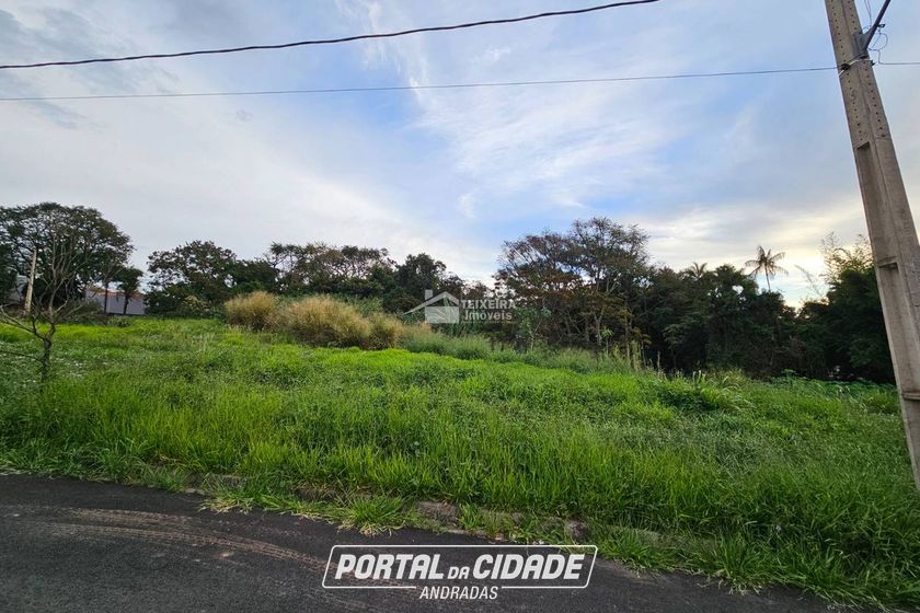 Terreno &agrave; venda - 204m&sup2; - Vila Santa Cec&iacute;lia