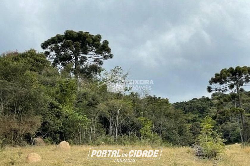 Terreno &agrave; venda - 52000m&sup2; - Zona Rural