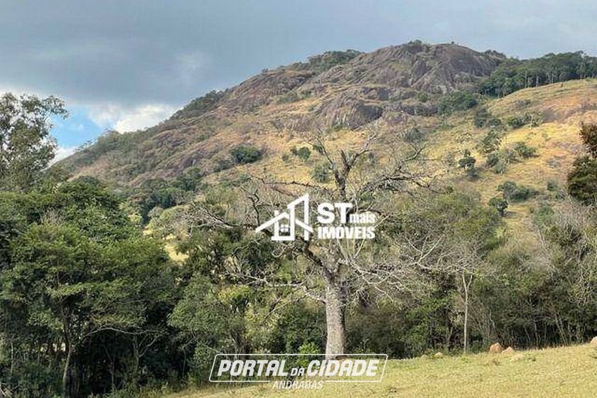 Terreno &agrave; venda - 90000m&sup2; - Zona Rural