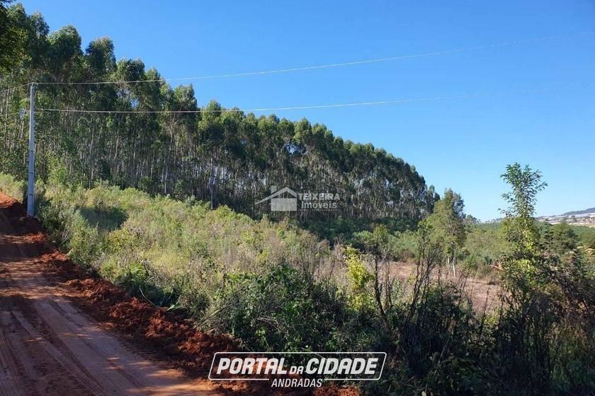 Terreno &agrave; venda - 55902m&sup2; - Zona Rural