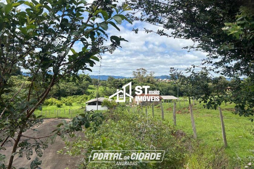 Terreno &agrave; venda - 55000m&sup2; - Pinheirinhos
