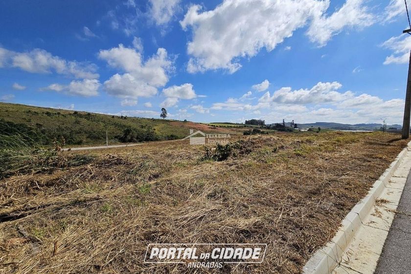 Terreno &agrave; venda - 1000m&sup2; - Quinta das Flores