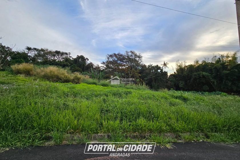 Terreno &agrave; venda - 204m&sup2; - Vila Santa Cec&iacute;lia