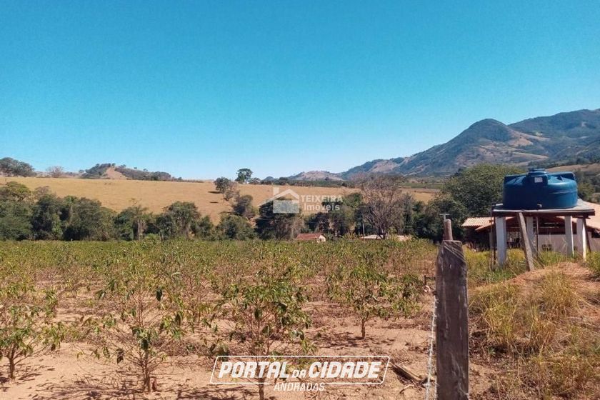 Terreno &agrave; venda - 1000m&sup2; - Centro