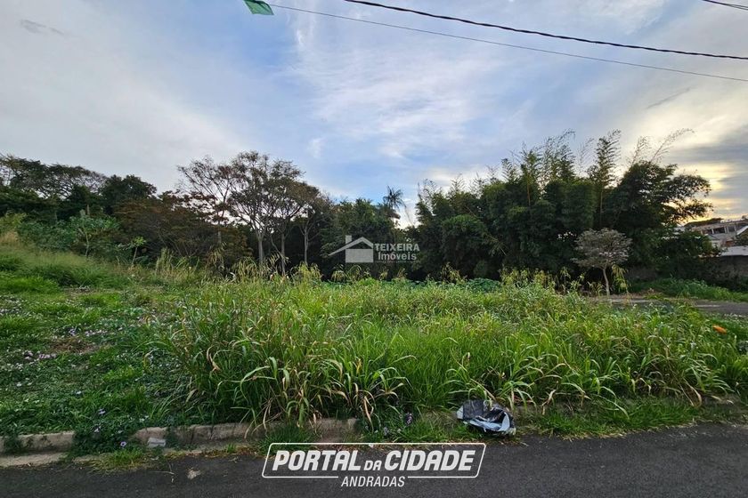 Terreno &agrave; venda - 204m&sup2; - Vila Santa Cec&iacute;lia