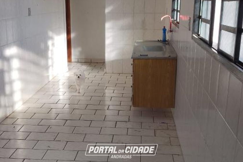 Apartamento para alugar - 100m&sup2; - Jardim Murtele