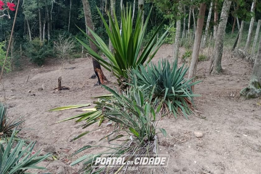 Terreno &agrave; venda - 20000m&sup2; - cachoeirinha