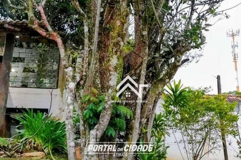 Ch&aacute;cara para alugar - 1000m&sup2; - Maria Antonina