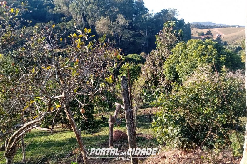 S&iacute;tio &agrave; venda - CACHOEIRA