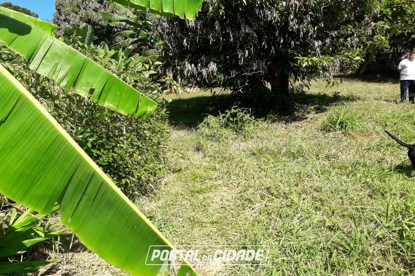 Sobrado &agrave; venda - JARDIM MARACAN&Atilde;