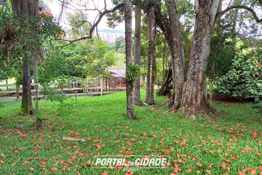 S&iacute;tio &agrave; venda - LOTEAMENTO VALE DAS FLORES