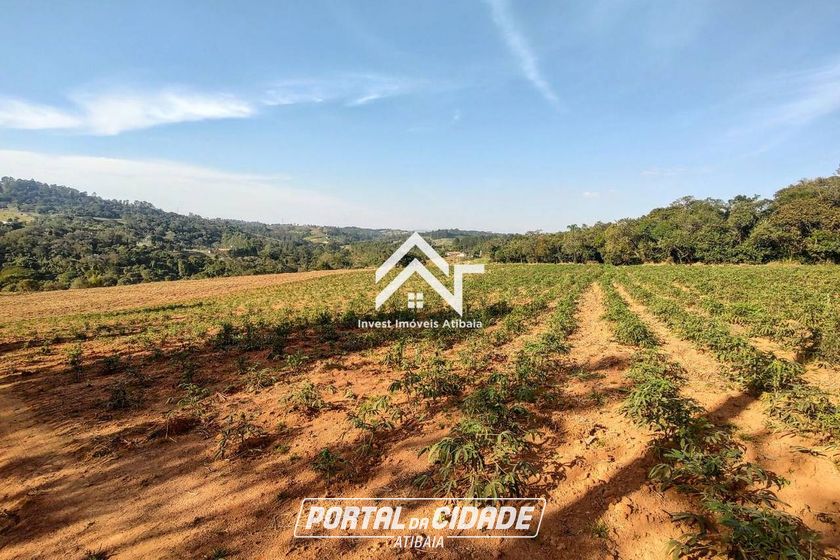 Terreno &agrave; venda - 20000m&sup2; - Iara