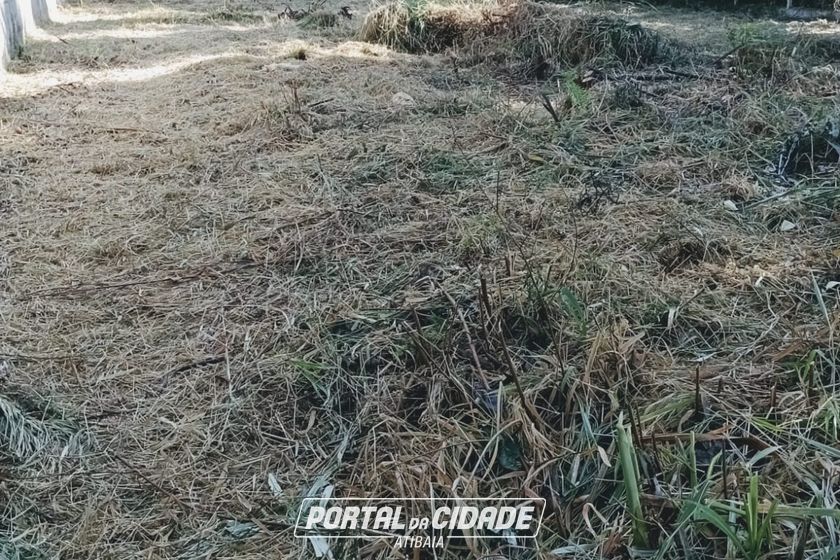 Terreno &agrave; venda - 769m&sup2; - LOTEAMENTO VALE DAS FLORES