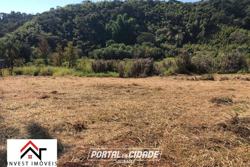 Terreno &agrave; venda - 4801m&sup2; - Ribeir&atilde;o dos Porcos