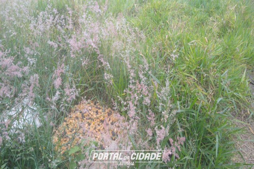 Terreno &agrave; venda - 600m&sup2; - ALVIN&Oacute;POLIS