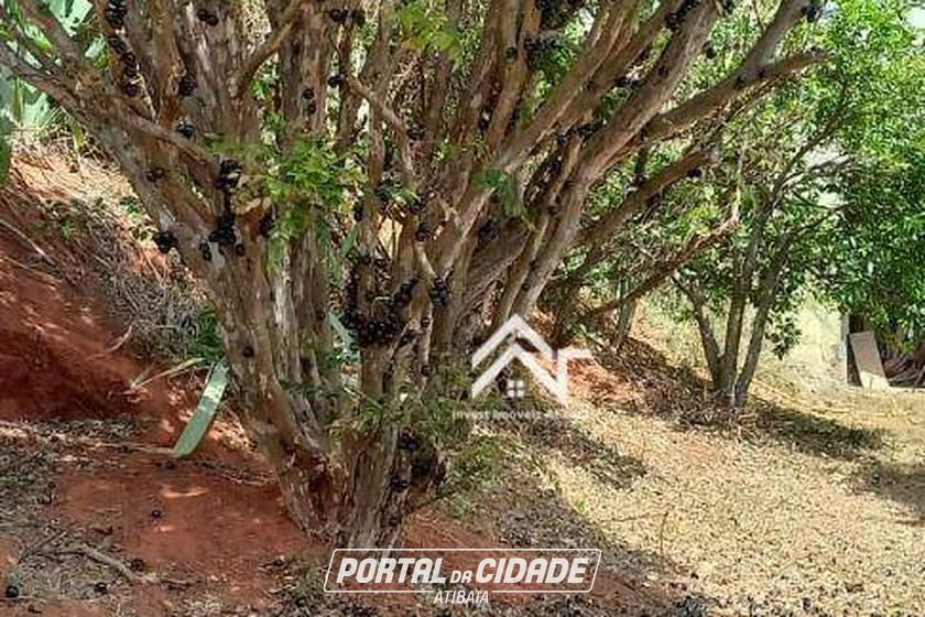 Casa &agrave; venda - 280m&sup2; - Jardim Est&acirc;ncia Brasil