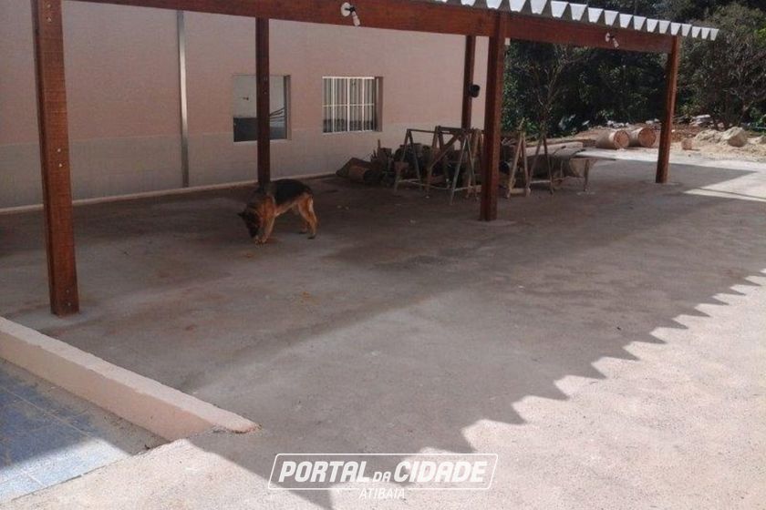 Ch&aacute;cara &agrave; venda - 13800m&sup2; - Tanque