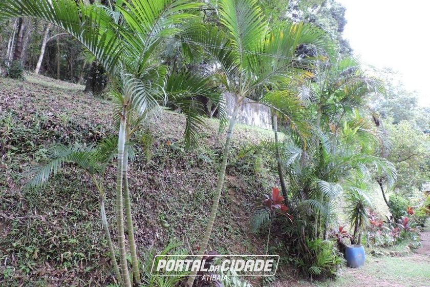 S&iacute;tio &agrave; venda - 200m&sup2; - CAMPO LARGO