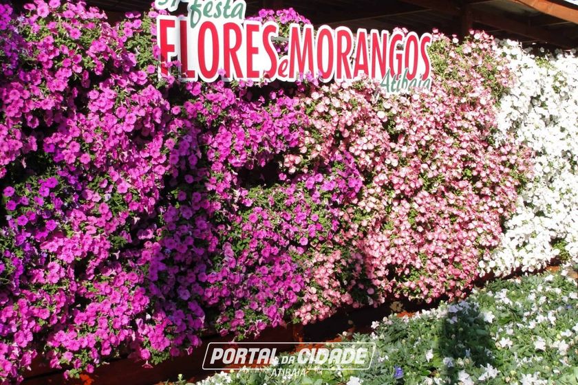 Terreno &agrave; venda - 842m&sup2; - Condom&iacute;nio Porto Atibaia