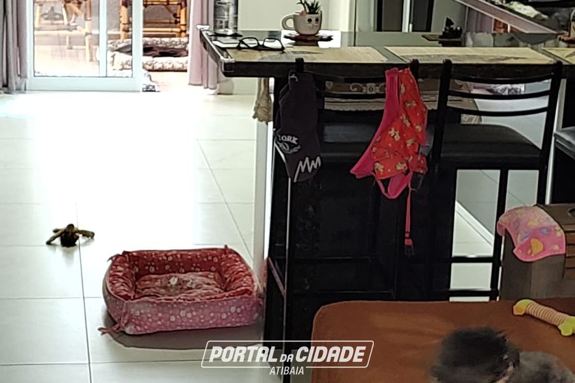 Apartamento &agrave; venda - 73m&sup2; - JARDIM COLONIAL