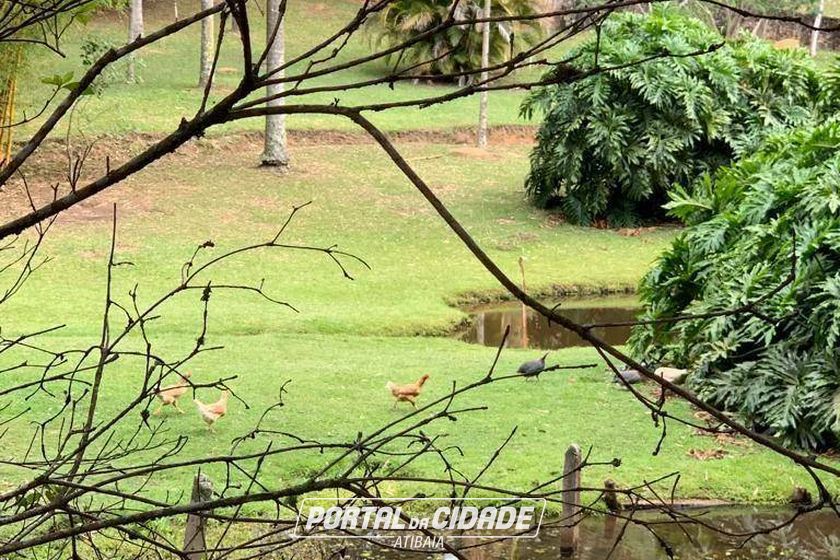 S&iacute;tio para alugar - 122000m&sup2; - Condom&iacute;nio Residencial Reserva Ecol&oacute;gica Atibaia