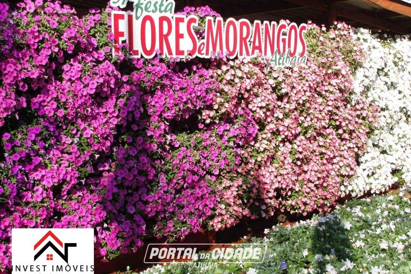 Terreno &agrave; venda - 305m&sup2; - Lamismar II