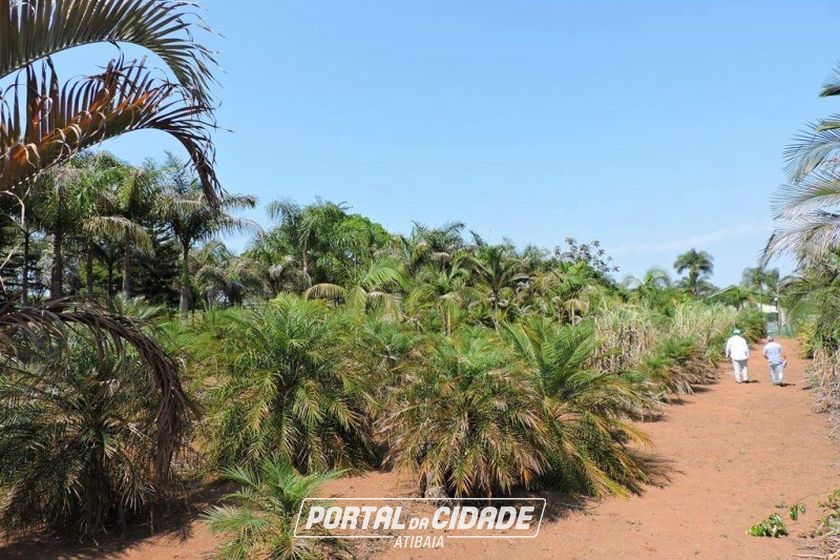 Ch&aacute;cara &agrave; venda - 450m&sup2; - CAETETUBA
