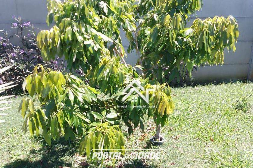 Ch&aacute;cara &agrave; venda - 455m&sup2; - Ponte Alta