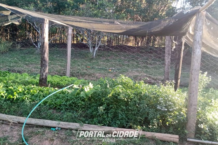S&iacute;tio &agrave; venda - CACHOEIRA