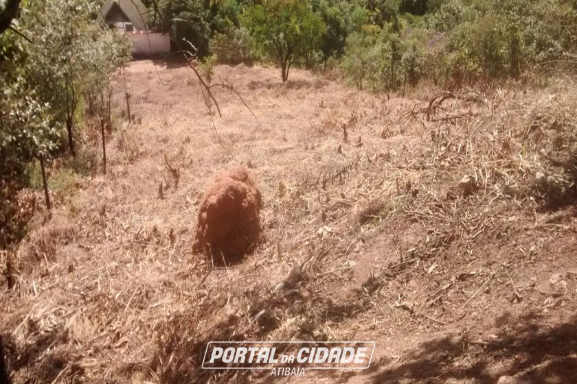 Terreno &agrave; venda - 1237m&sup2; - Bosque dos Eucal&iacute;ptos