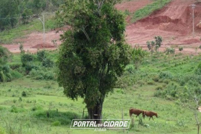 Terreno &agrave; venda - 17400m&sup2; - Tanque